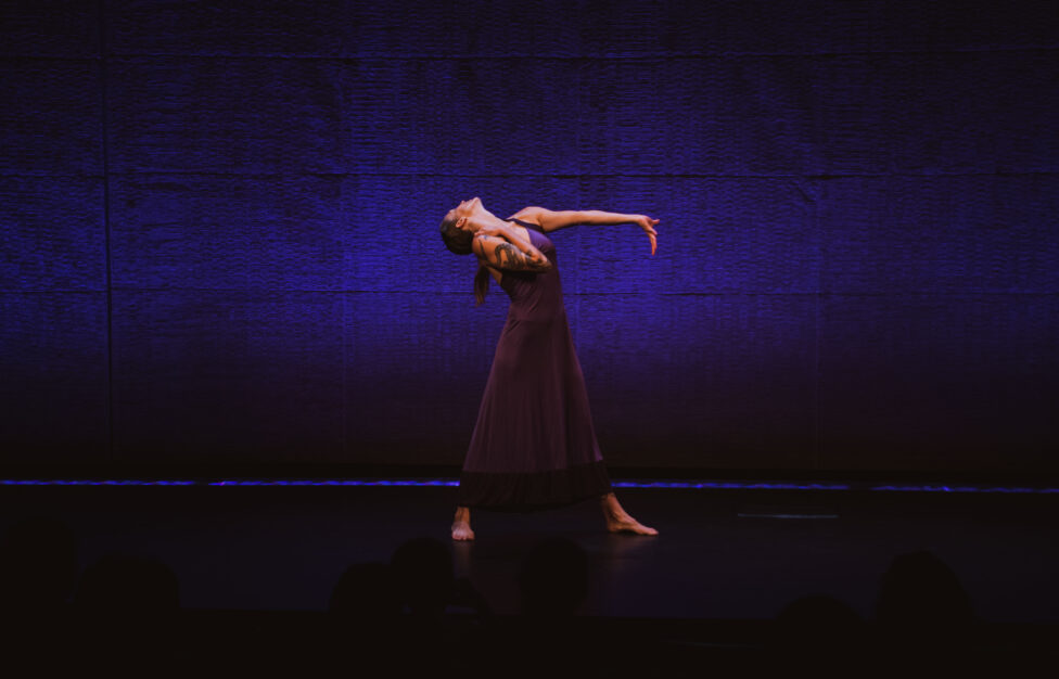 Catherine Cabeen wearing a long purple dress in Journey, Performed at The American LGBTQ Museum and NYC's National History Museum 2022.