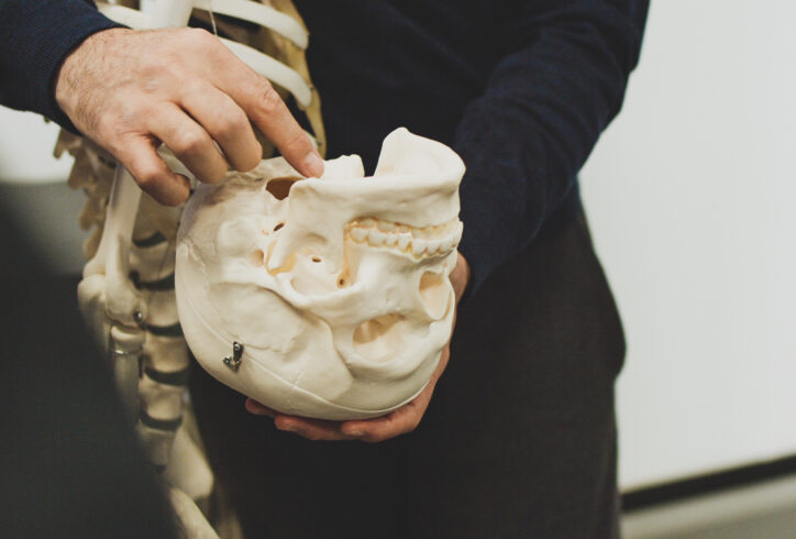 A photo of Jaime Ortega Holding a Human skull model. He holds the top of the head in his hands turning it upside down and pointing to the center with his other hand. His arm is wrapped around a model of the ribs and spine. Photo by Tori Lawrence.