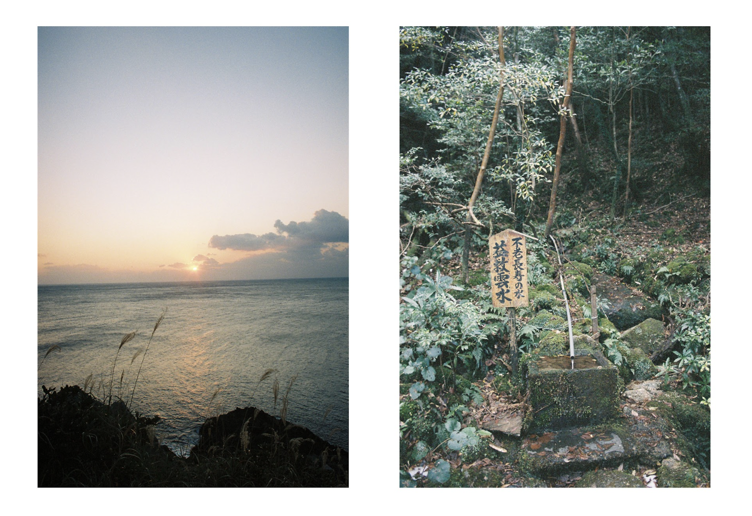 Two photos side by side. The left image depicts a soft orange and lavender sunset over the ocean. The right is a green and leafy garden with moss-covered stones and a sign with Japanese characters written in black brushstrokes. Photos by kyoko takenaka.