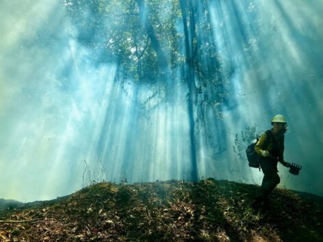 Spark image: Aquamarine light descends from the top of the photo and streams through smoke and leaves in a thick deciduous forest. The green leaves pop through the opacity of the smoke to varying degrees- here a relief sculpture of trunks, there a verdant silhouette, there a mottled decomposition of woodland detritus: brown, golden, and green. At the forest’s most turquoise, to the far right, Spark is captured mid-movement, right knee bent, looking at the photographer briefly through their goggles as they bite their bottom lip. They are dressed head to toe in protective yellow and black firefighter gear, and they hold a rake-like controlled burn tool in both gloved hands. Photo by Roni Jo Draper (Yurok).