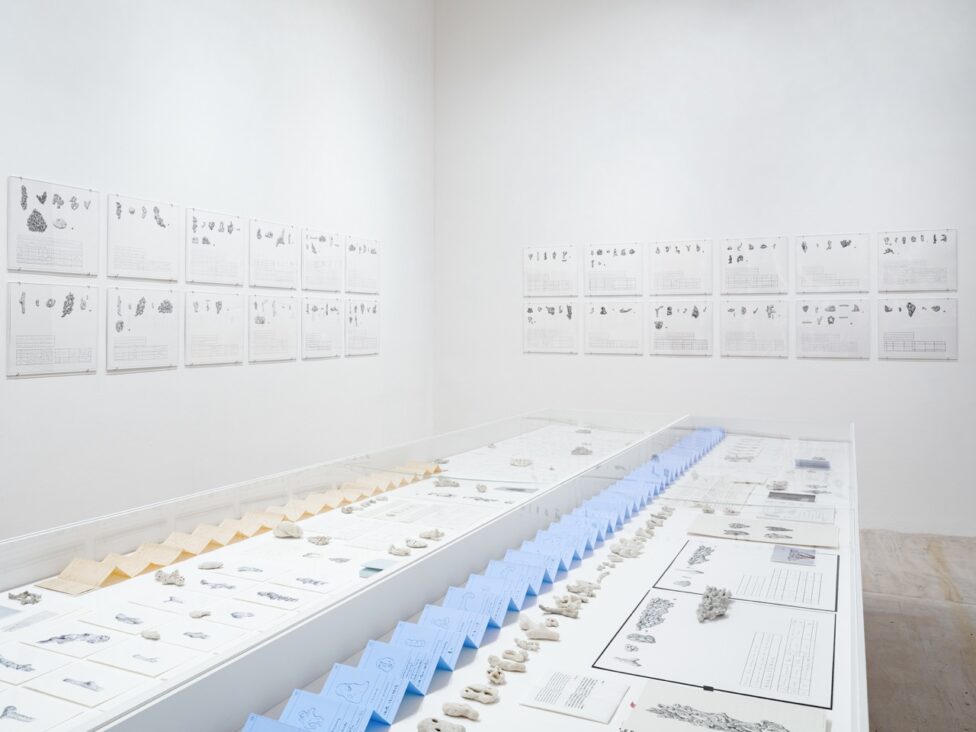 Chang Yuchen. Coral Dictionary (36 Sentences). 2019–ongoing. Graphite on paper, coral debris, and ephemera Sheet: 14 × 17